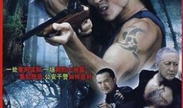 大追捕电视剧,生死较量，正义终将胜利