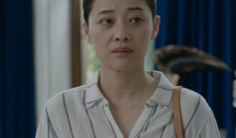 梅婷主演的电视剧全部,穿越时光的悲喜人生