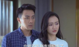 周末夫妻电视剧,情感纠葛与家庭抉择的温情演绎